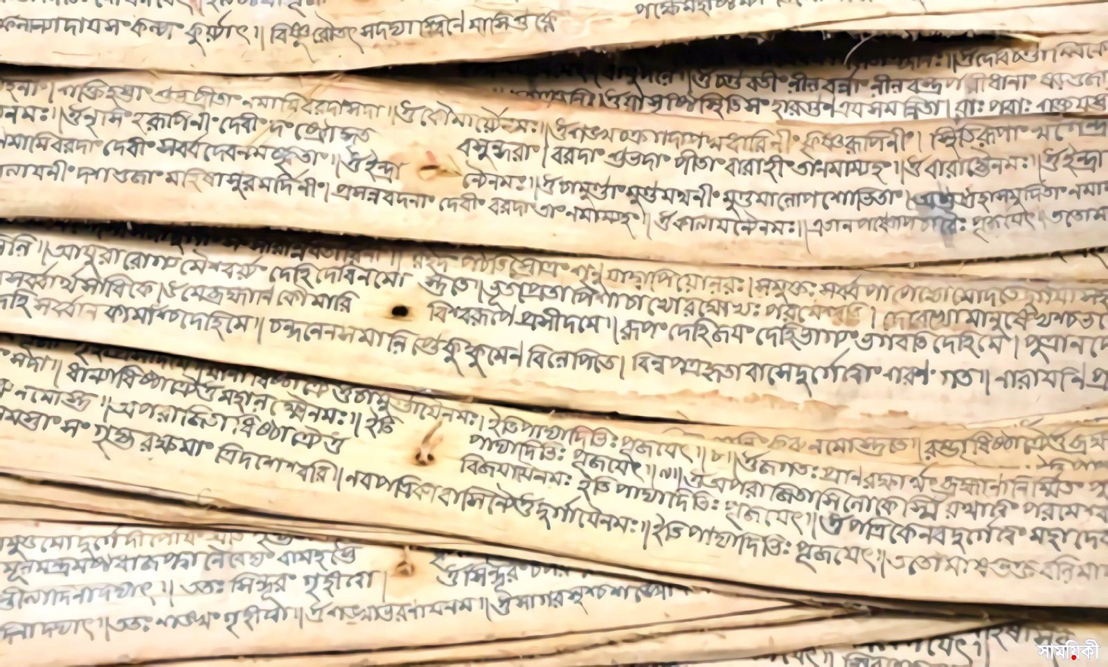 শাস্ত্রীয় সঙ্গীত ও চর্যাপদ 3 চর্যাগীতি, চর্যাপদ