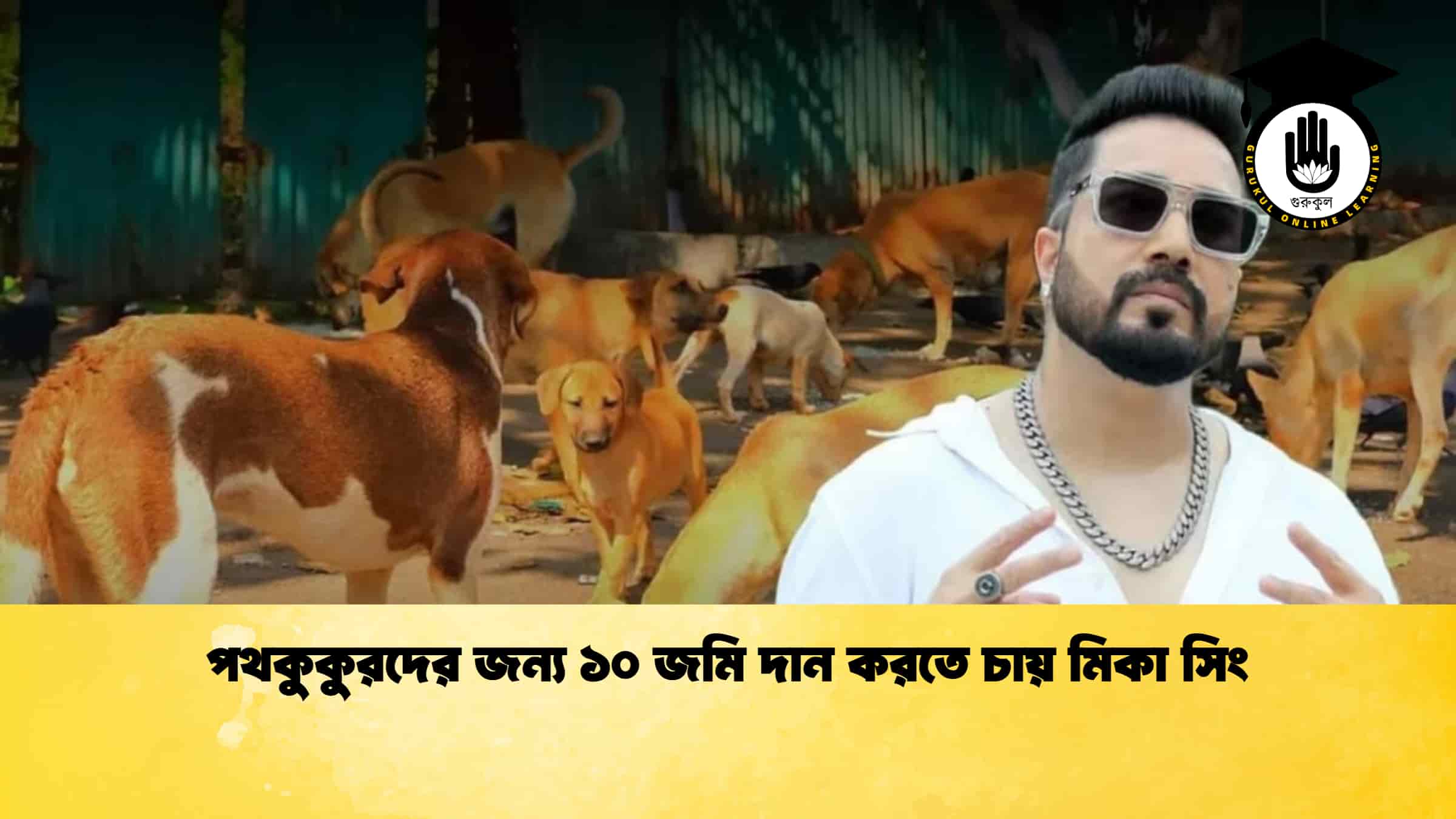 পথকুকুরদের জন্য ১০ জমি দান করতে চায় মিকা সিং