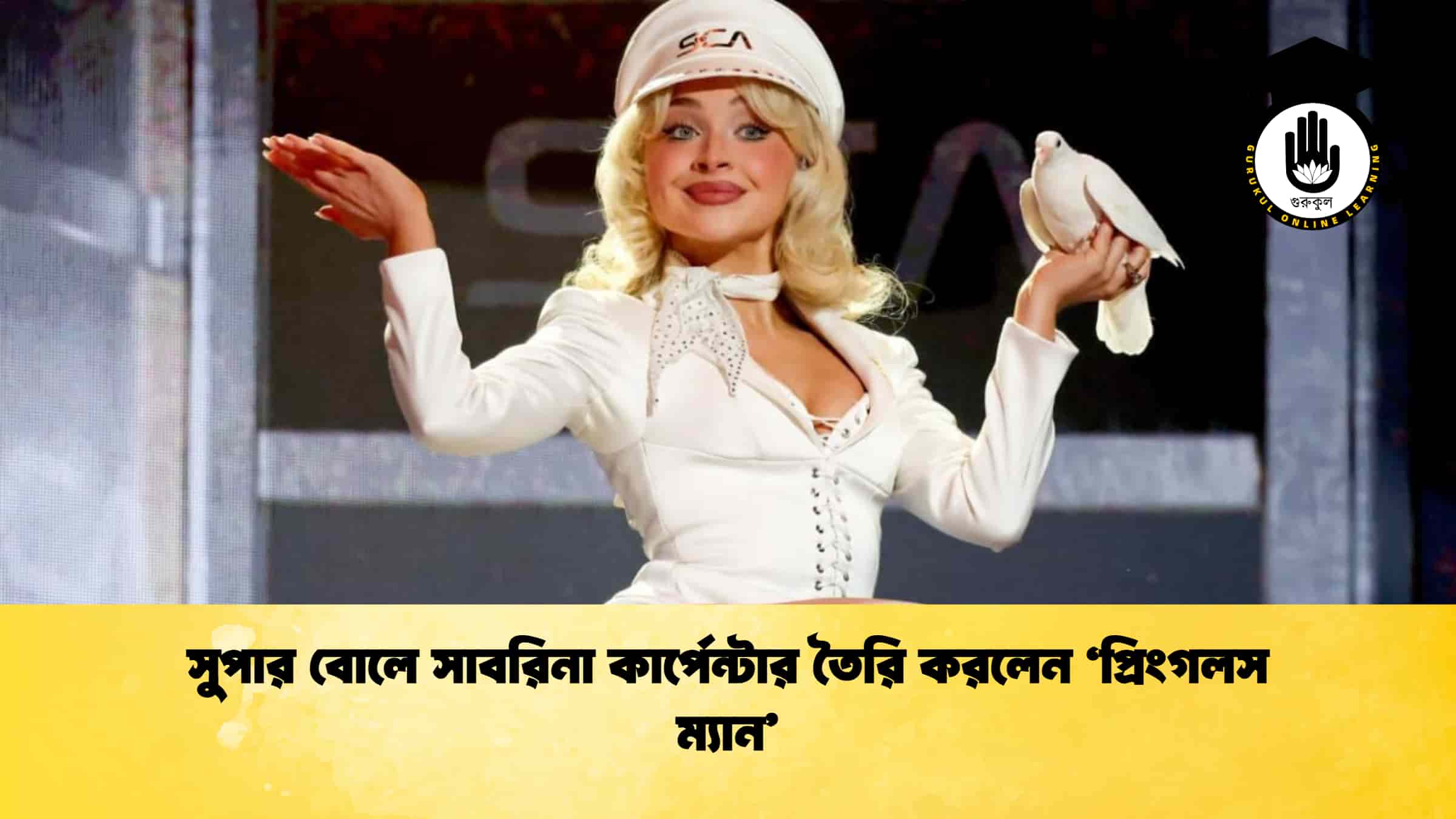 সুপার বোলে সাবরিনা কার্পেন্টার তৈরি করলেন ‘প্রিংগলস ম্যান’